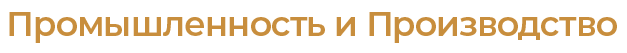 Single Brand Logo